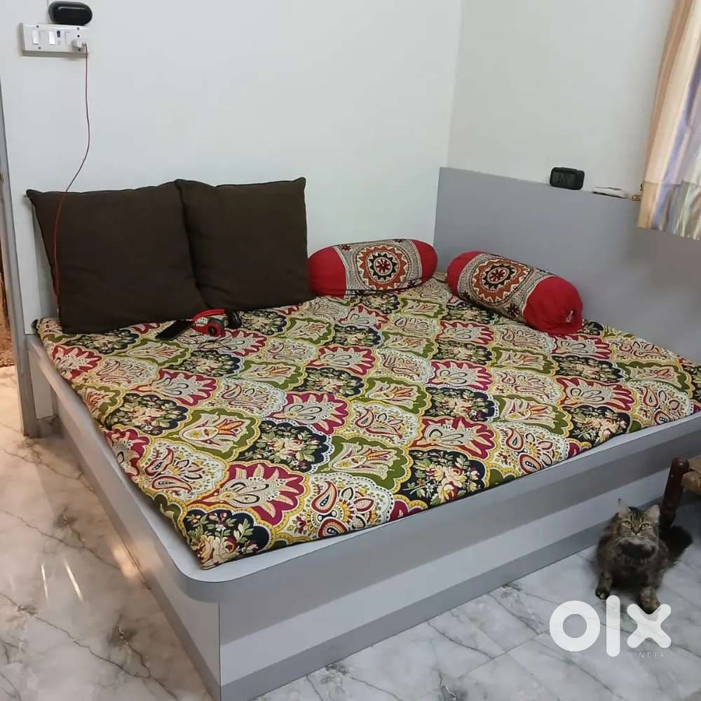 1 BHK Flat for Rent thumbnail 3